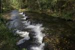 Img 2103m