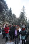 Img 5974 