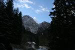 Img 5978 