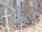 Bialowieza